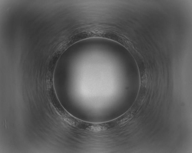 X0000054360464200508011225