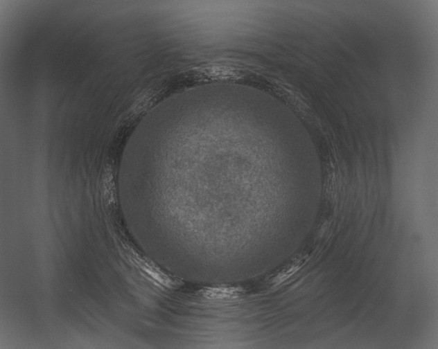 X0000054360465200508011225