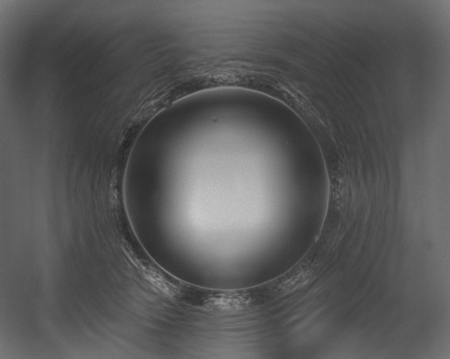 X0000054360466200508011225