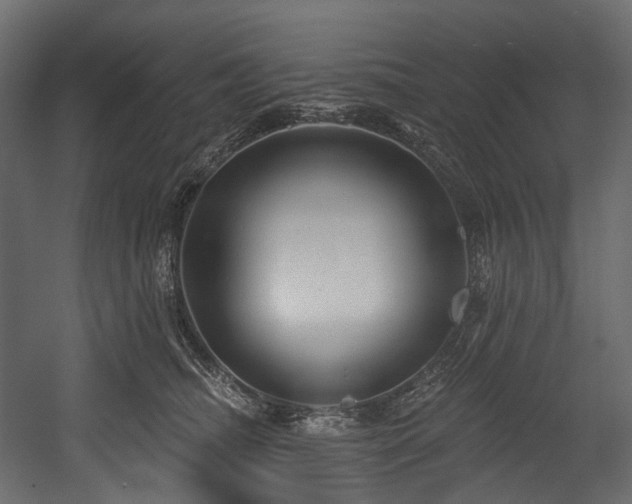X0000054360468200508011225