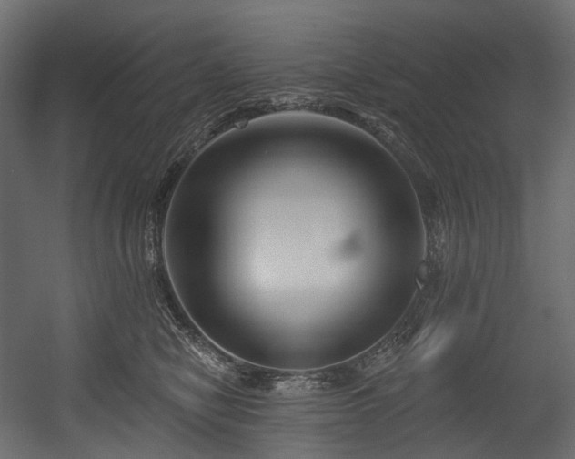 X0000054360470200508011225