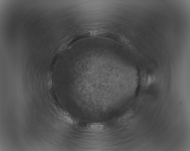 X0000054360471200508011225