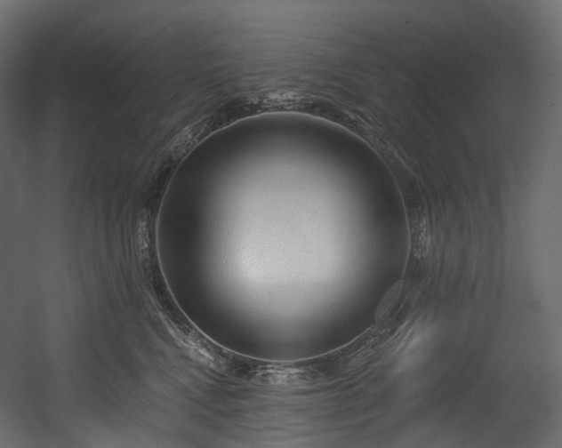 X0000054360472200508011225