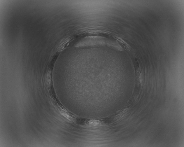 X0000054360475200508011225