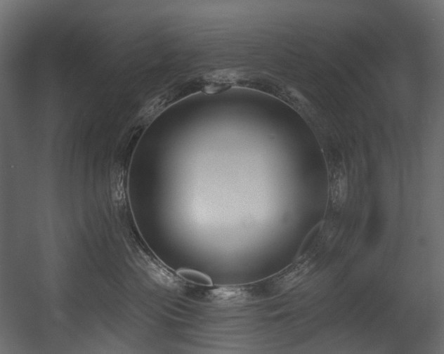 X0000054360477200508011225