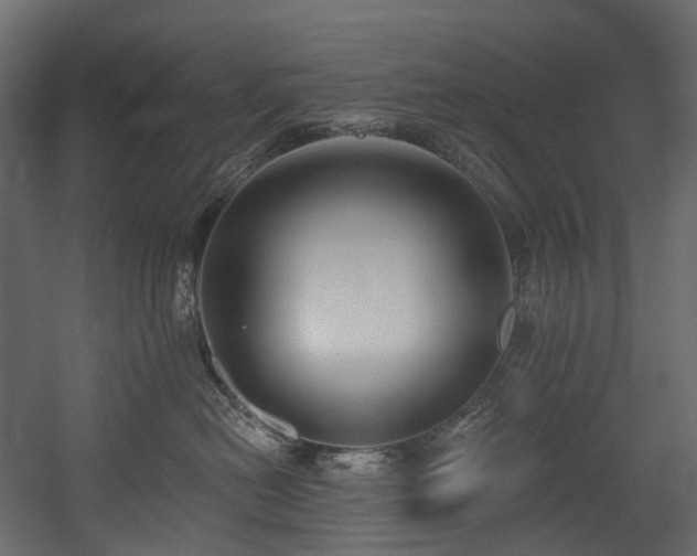 X0000054360478200508011225