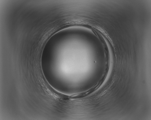X0000054360481200508011224