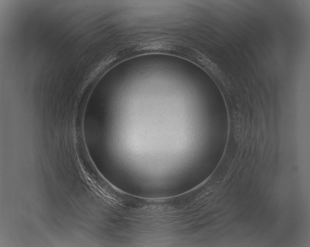 X0000054360482200508011224