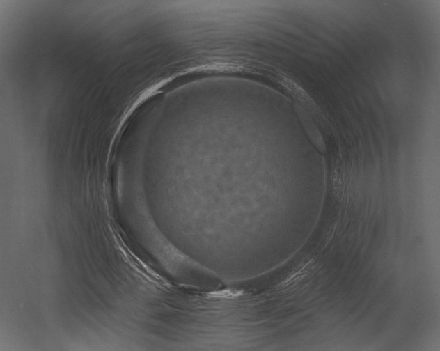 X0000054360484200508011224