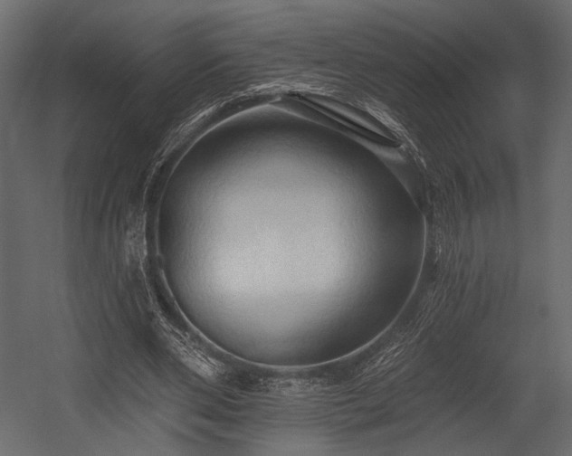 X0000054360486200508011224