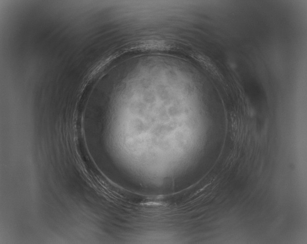 X0000054360487200508011224