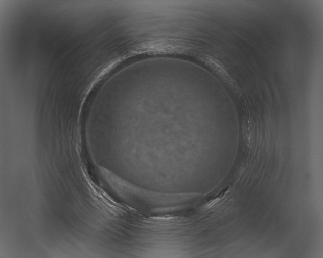X0000054360488200508011224