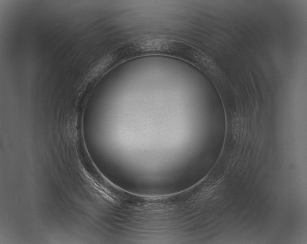 X0000054360490200508011224