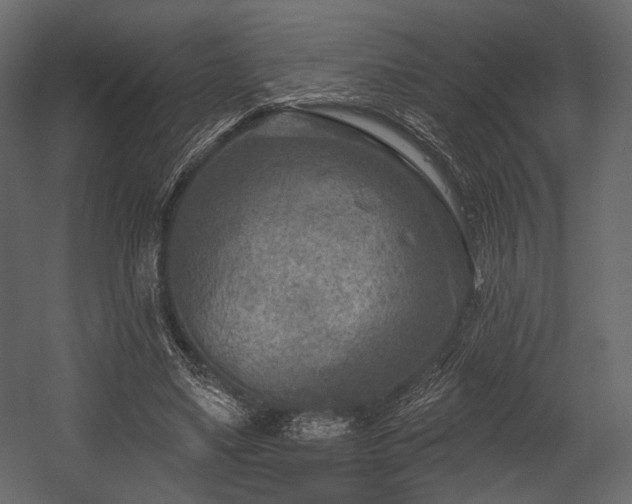 X0000054360491200508011224