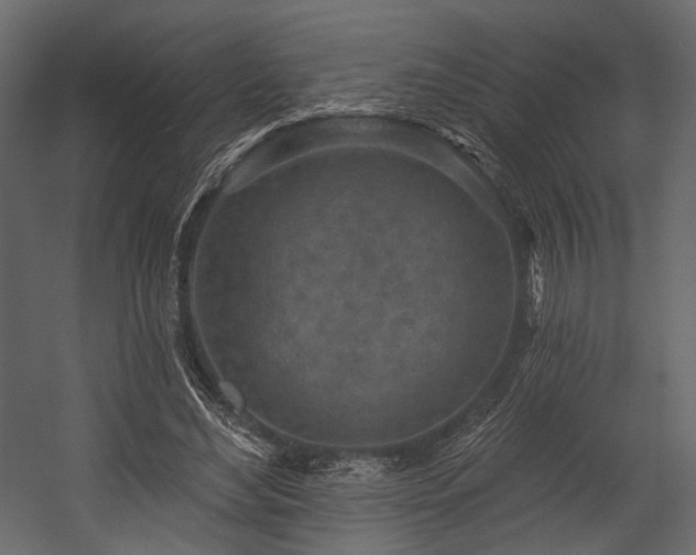 X0000054360492200508011224