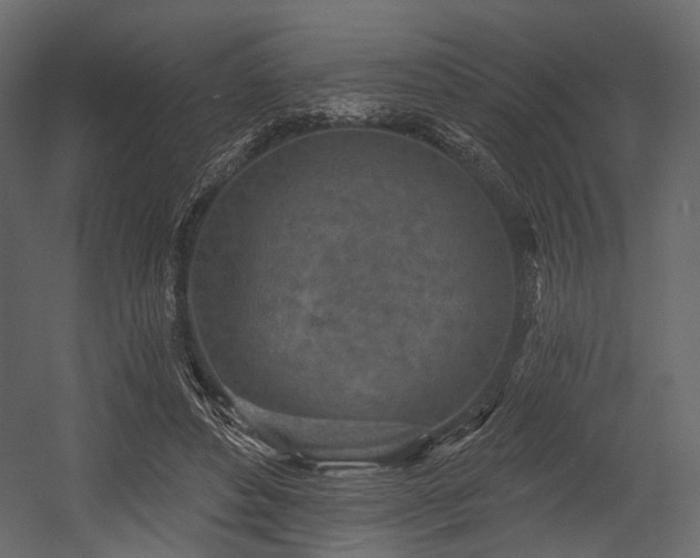 X0000054360496200508011224