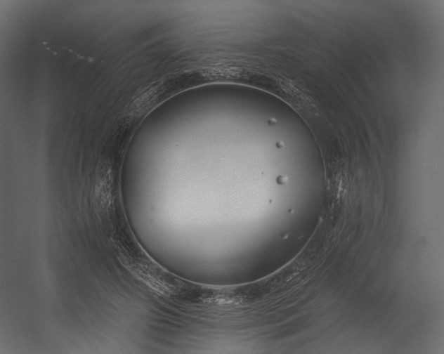 X0000054360498200508011224