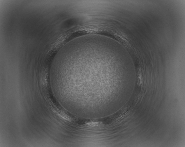 X0000054360499200508011224