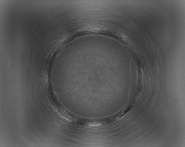 X0000054360500200508011224