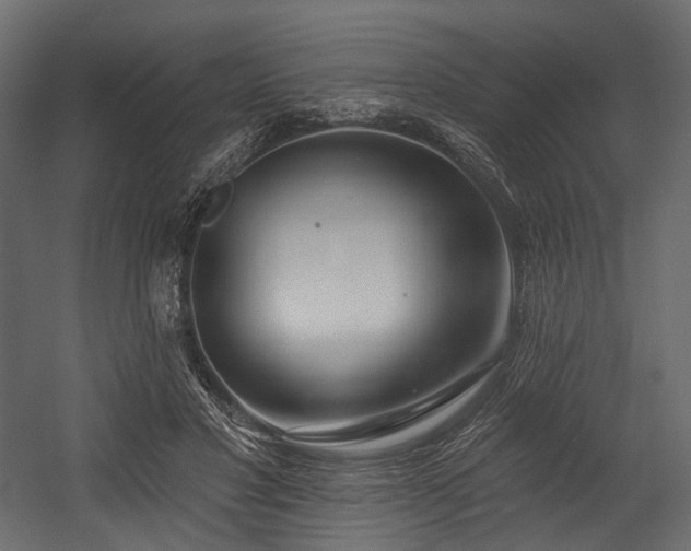 X0000054360501200508011224
