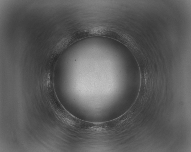 X0000054360502200508011224