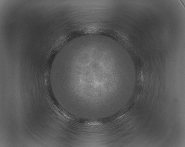X0000054360503200508011224