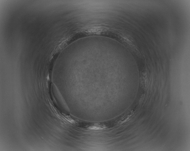 X0000054360504200508011224