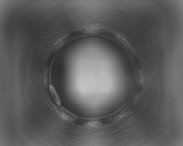 X0000054360505200508011224