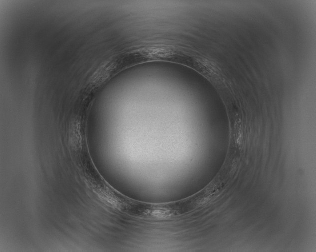 X0000054360506200508011224