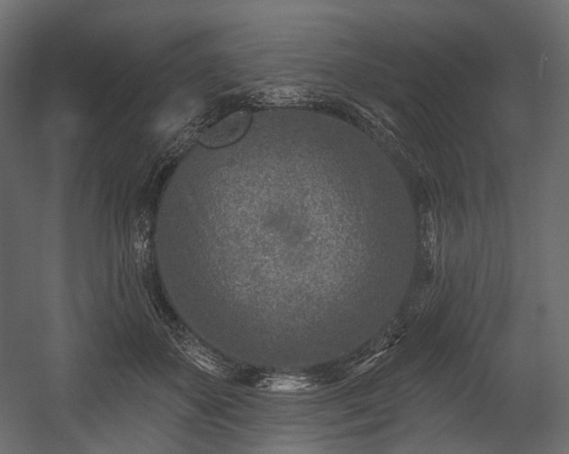X0000054360507200508011224