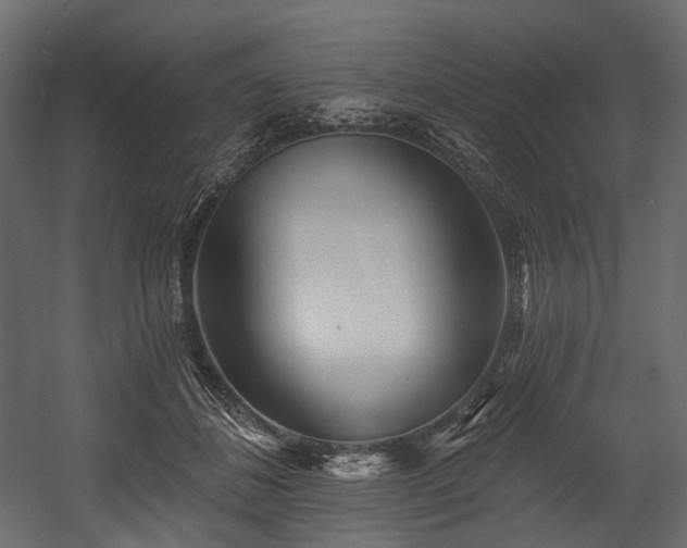 X0000054360508200508011224