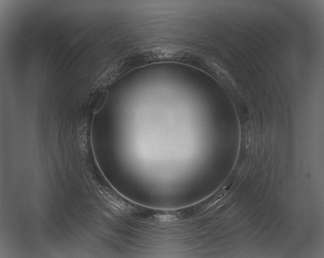 X0000054360509200508011224