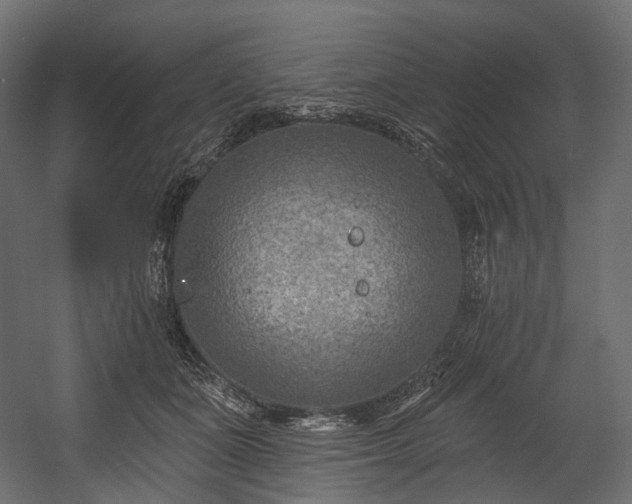 X0000054360511200508011224