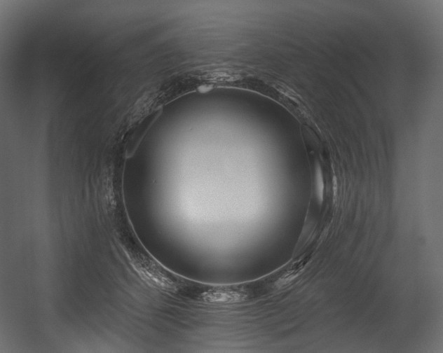 X0000054360512200508011224
