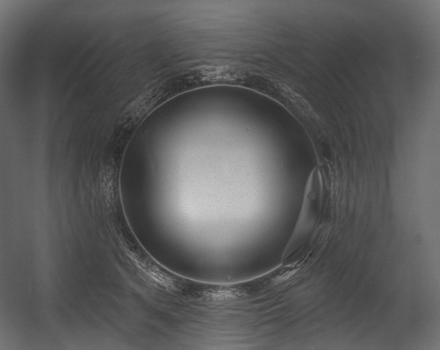 X0000054360513200508011224