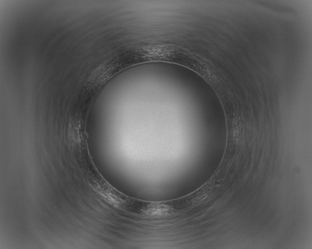 X0000054360514200508011224