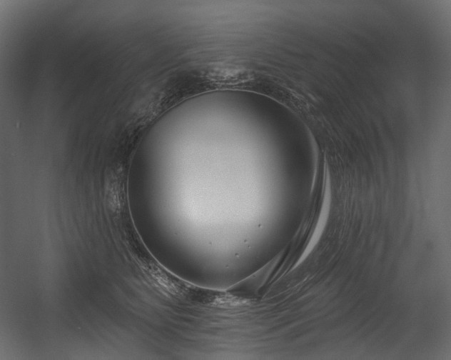 X0000054360515200508011224