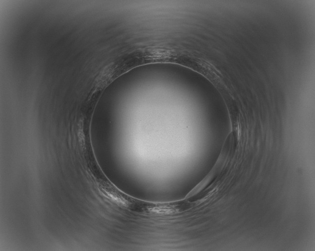 X0000054360516200508011224