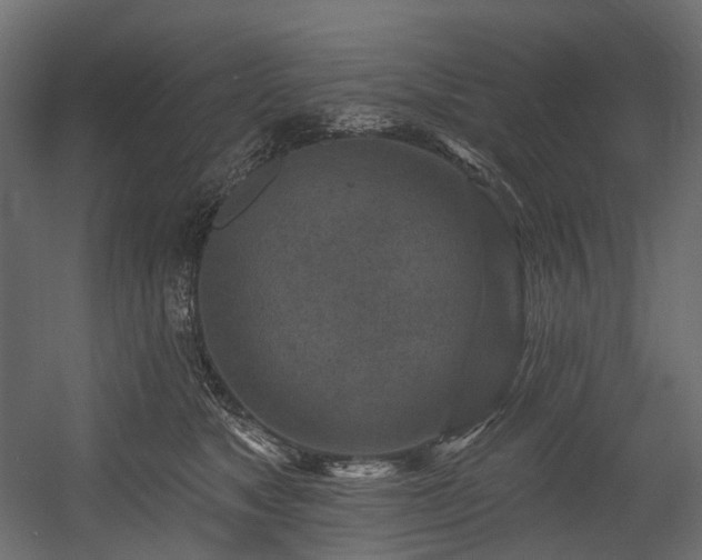X0000054360517200508011224