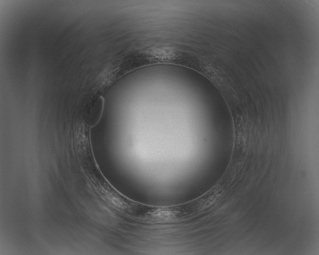 X0000054360518200508011224
