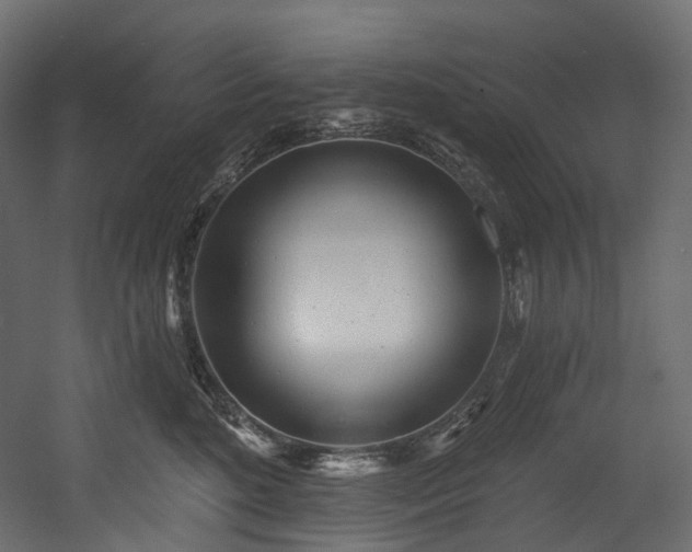 X0000054360520200508011224