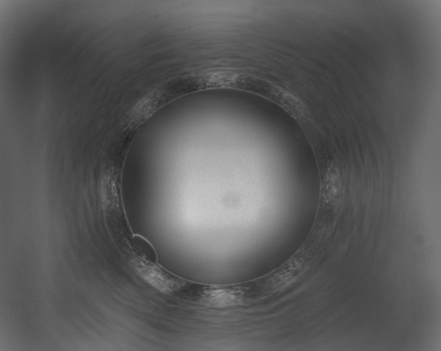 X0000054360522200508011224