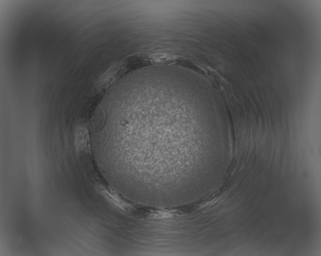 X0000054360523200508011224