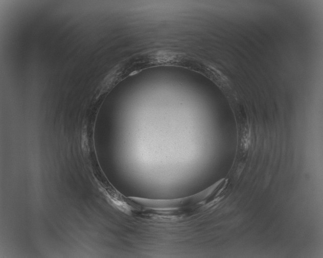 X0000054360524200508011224