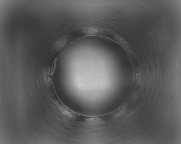 X0000054360525200508011224