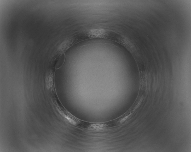 X0000054360526200508011224