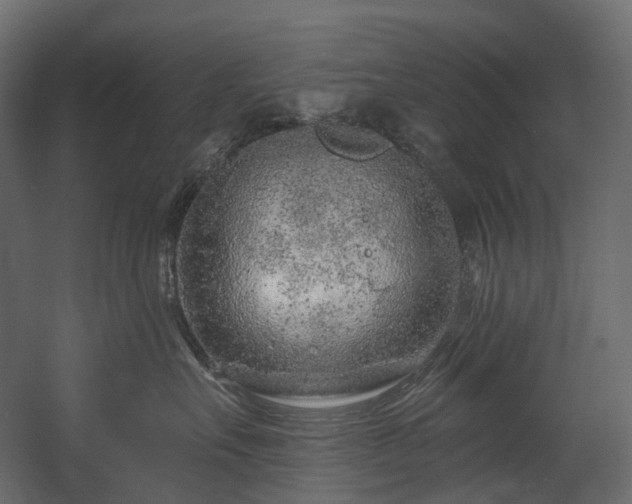 X0000054360527200508011224