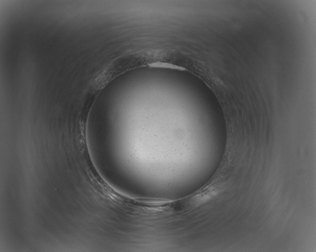 X0000054360528200508011224