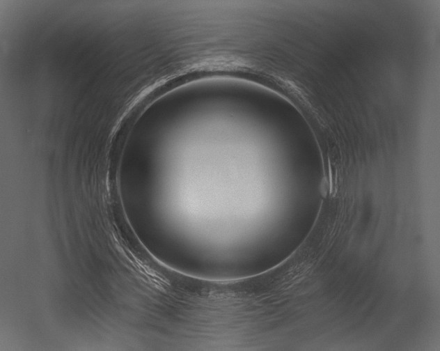 X0000054360531200508011223