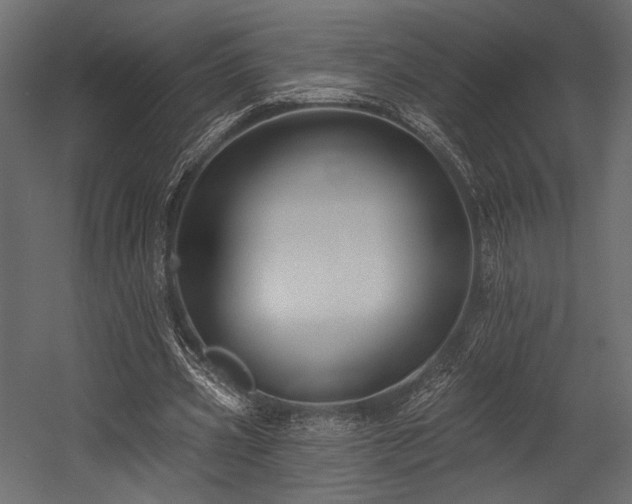 X0000054360533200508011223